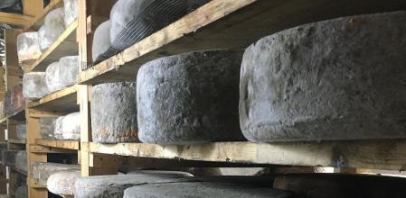 Cavas de Molí de Ger, una quesería artesana de La Cerdanya