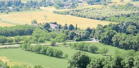 El proyecto LIFE AgroForAdapt quiere evaluar y demostrar que los sistemas agroforestales pueden ser una herramienta clave para la adaptación al cambio climático de los sectores agrícola y forestal.