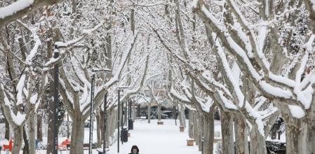 El método de las cabañuelas es infalible