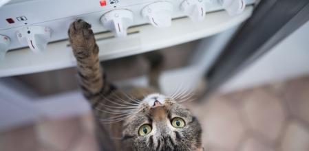 Se trata de fuegos ocasionados por error