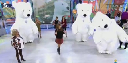 El oso casi decapitado de Cádiz ficha por 'Sálvame'