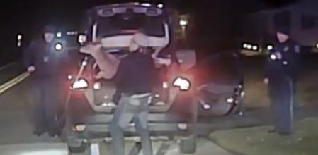 Se liberó el ciervo, pero no se comprobó si estaba lesionado