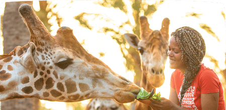 Oasis Wildlife es un centro de rescate de animales