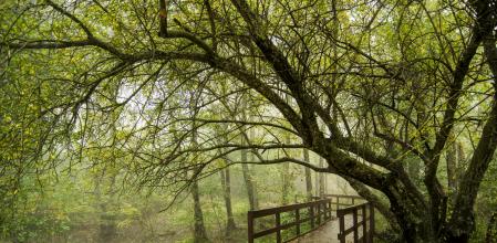 Parque natural del Montseny