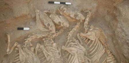 Los Kungas encontrados en Umm el-Marra, al norte de la actual Siria