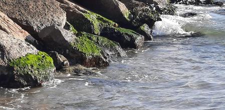 Efectos de las 'minves de gener' en la costa de Sitges.