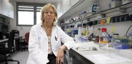 Enriqueta Felip finalista del premio Vanguardia de la ciencia.