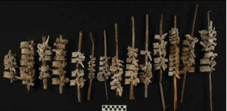 Los arqueólogos han encontrado más de 200 postes hechos con huesos humanos