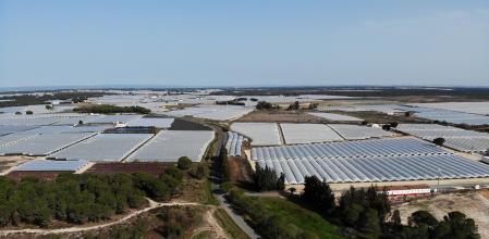 Imagen de una de las fincas ilegales en Doñana.
