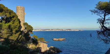Torre dels Perpinyà.