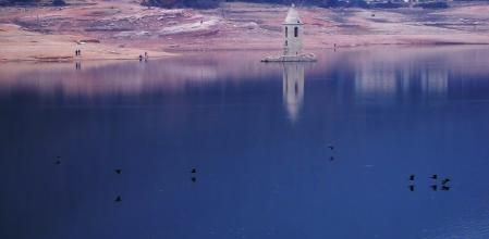 Cormoranes en el pantano de Sau.