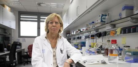 Enriqueta Felip finalista del premio Vanguardia de la ciencia.