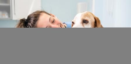 Perro en la consulta del veterinario