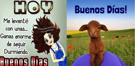 La industria que hay detrás de la avalancha de memes ‘boomers’ que recibes por Whatsapp