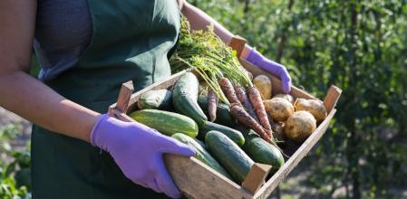 La superficie agrícola dedicada a la producción ecológica creció en 2020 en la Unión Europea un 5,8%  .