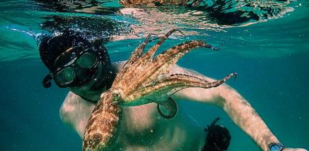 la que el pulpo me enseño