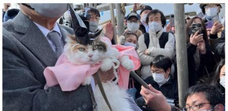 Un gato se convierte en sacerdote de un santuario en China y le organizan una hilarante ceremonia