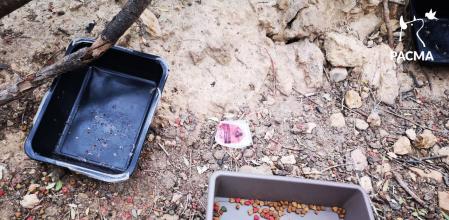 Recipientes de la colonia felina llenos de raticida