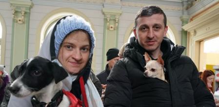 Las mascotas también se han visto afectadas por las acciones militares rusas