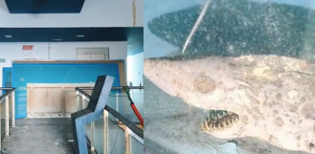 Un acuario terrorífico