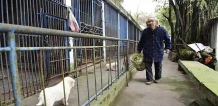 Luo Yingjiu paseando por el zoo