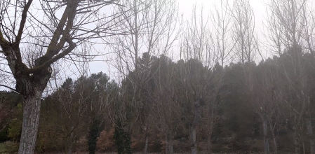 El entorno natural de Sant Martí de Sesgueioles.