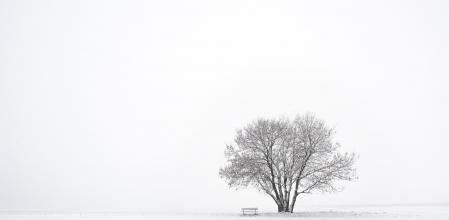 Estética minimalista