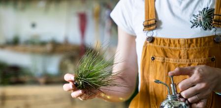 Mujer cuidando de las plantas