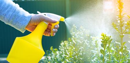 El truco viral para regar las plantas de casa cuando estás fuera de vacaciones