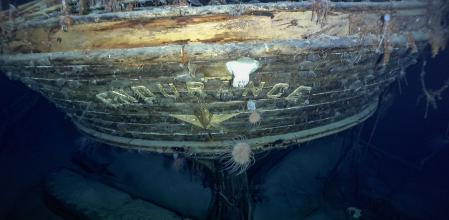 En la popa del barco hundido se observan ejemplares de especies como las anémonas  .