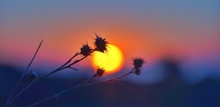 Amanecer con calima en Mijas.