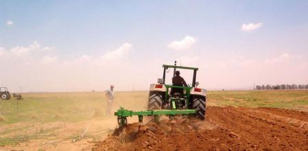 Tractor trabajando en un campo valenciano&nbsp;