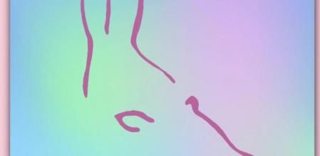 El acertijo visual de un pez o una sirena crea confusión entre los usuarios que ven algo más