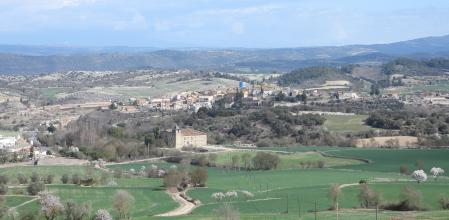 Paisaje de La Segarra