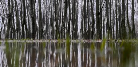 Reflejos artísticos en el parque de la Devesa.