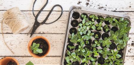 Materiales para huerto urbano