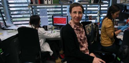 Pura Muñoz-Cánoves, en el Parc de Recerca Biomèdica de Barcelona.