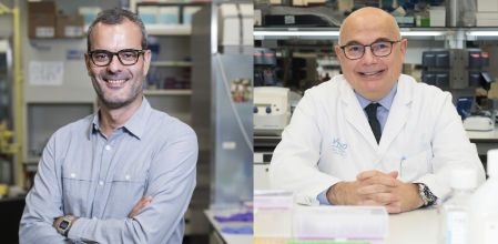 Salvador Aznar (izquierda), premio de biomedicina preclínica, y Josep Tabernero (derecha), premio de biomedicina clínica