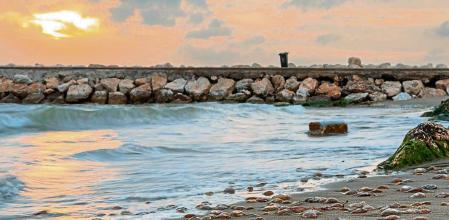 Invasión de medusas en la Costa del Sol.