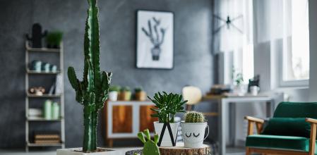 Decoración nórdica con cactus