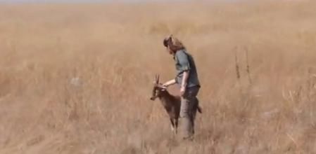 El bonito reencuentro de una pareja con el antílope que criaron durante 7 meses