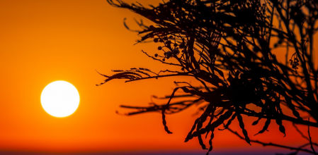 El sol luce al amanecer en Mijas.