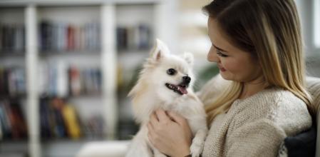 Un perrito sostiene la mirada de su cariñosa propietaria