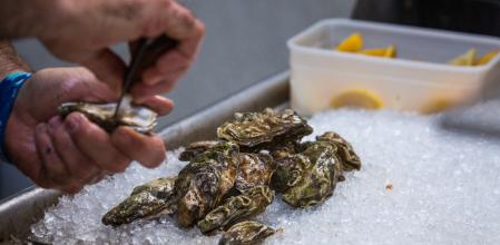 En el puerto de Oban se sirven los mejores mariscos