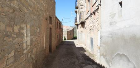 Reto visual: ¿Eres capaz de ver a los dos gatos en menos de 30 segundos?