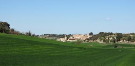Vista de Viver de Segarra rodeado del paisaje verde.