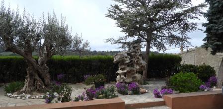 Reto visual: ¿Dónde está el gato?