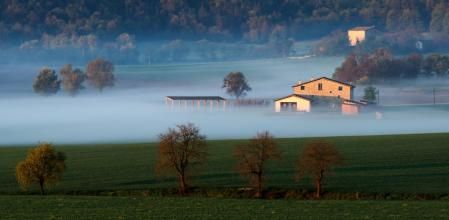 Neblina en Sentfores.