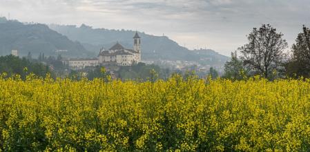 Primavera en La Gleva.