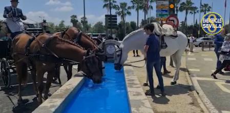 Captura del vídeo difundido en redes sociales .